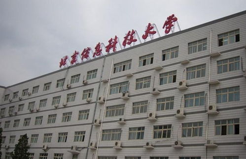 青春奉獻，科技賦能——記北京信息科技大學青年志愿者協會的信息技術咨詢志愿服務